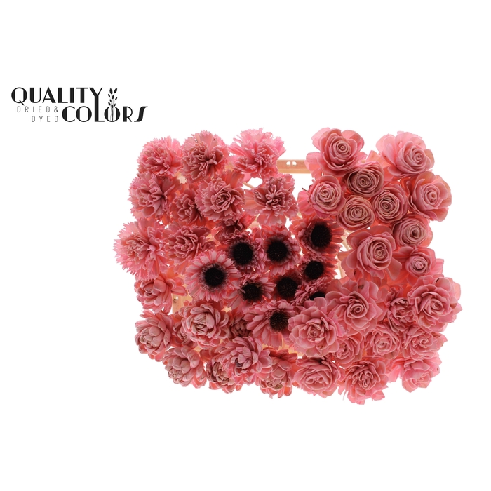 <h4>Shola Flower Mix on stem Light Pink</h4>