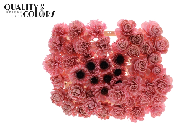 Shola Flower Mix on stem Light Pink