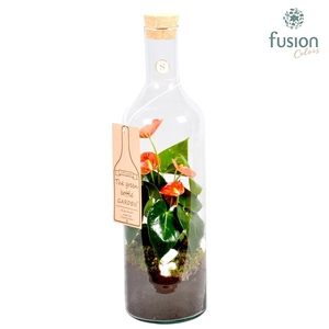 Green Bottle Fles Large met Anthurium