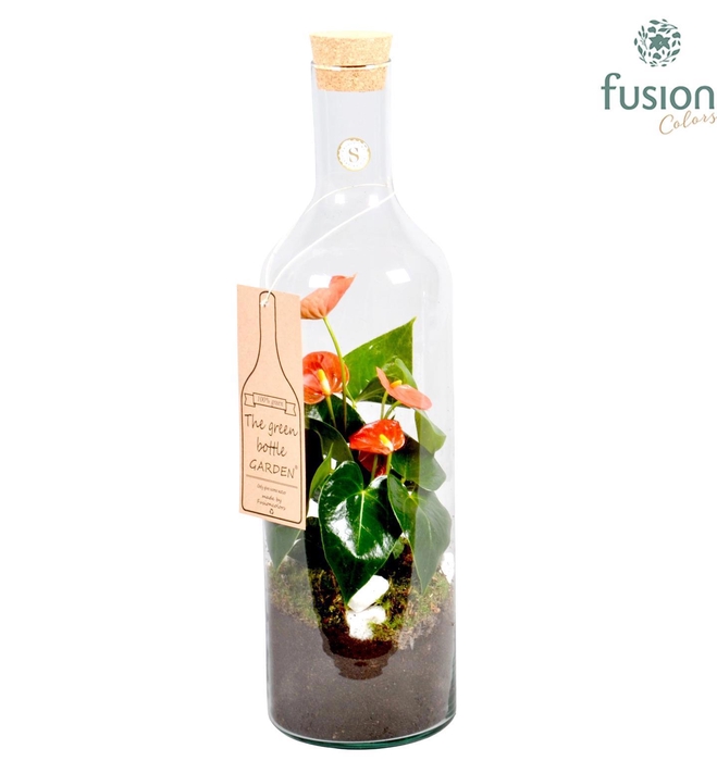 <h4>Green Bottle Fles Large met Anthurium</h4>