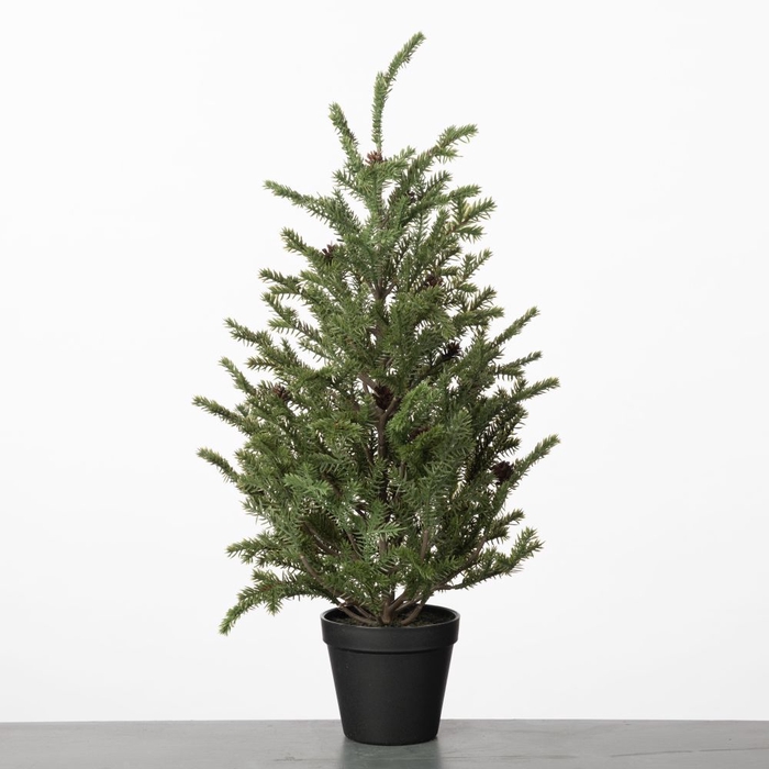 AF Spruce Fir Tree pot H63cm G