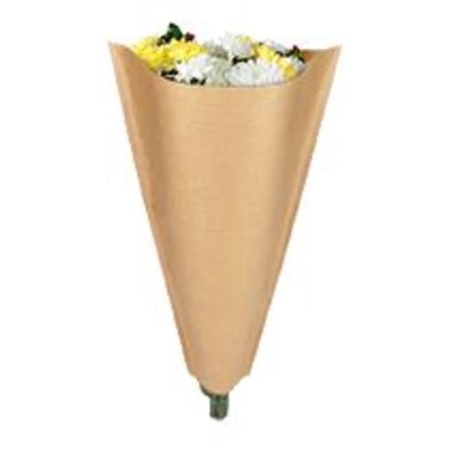 <h4>Hoezen Kraft 60*30*10cm x50</h4>