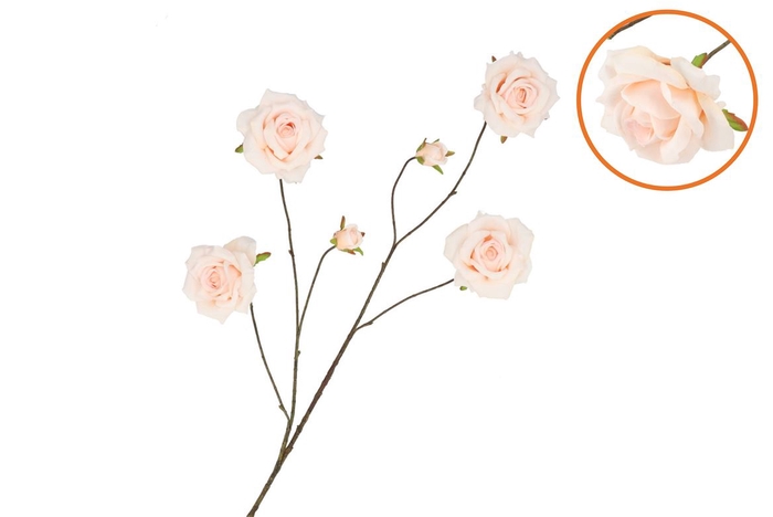 Silk Roses Wild Peach 126cm