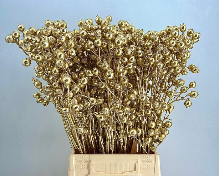 <h4>Rosa Hip Painted $Luxury Gold H%*</h4>