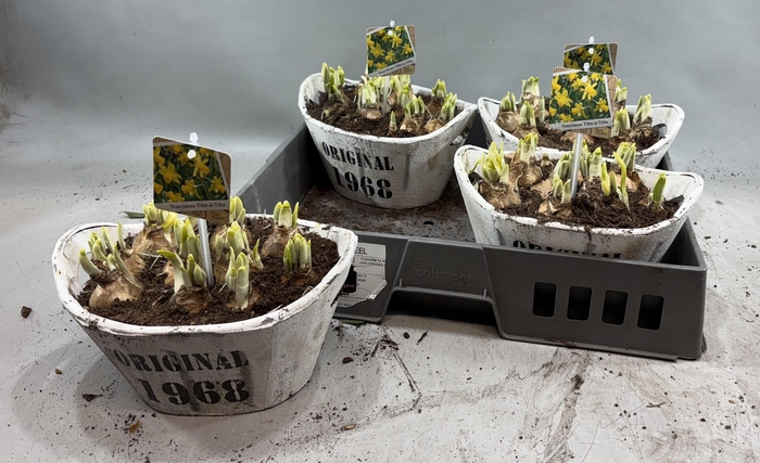 <h4>ARR N TETE A TETE</h4>