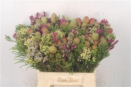 <h4>Erica Bqt Cone Mix</h4>