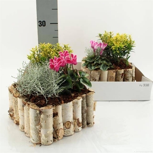 ARR TUINPLANTEN