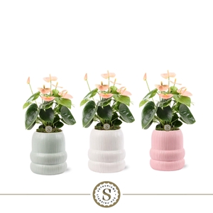 Helsinki Keramiek Spirit