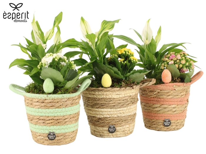 <h4>70985: Easter arrangement</h4>