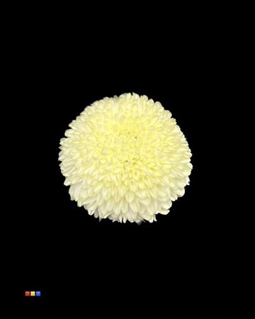 Chr G Superbowl Creme