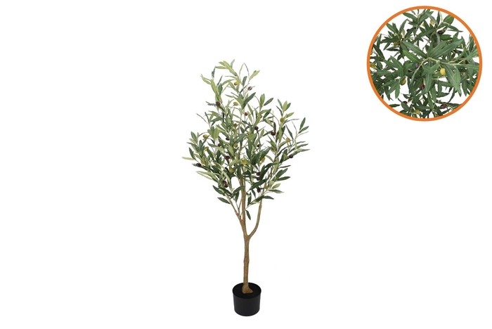 Silk Olive Tree Green 90cm