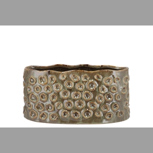 Alora Majestic Green Pot 26x14x12cm