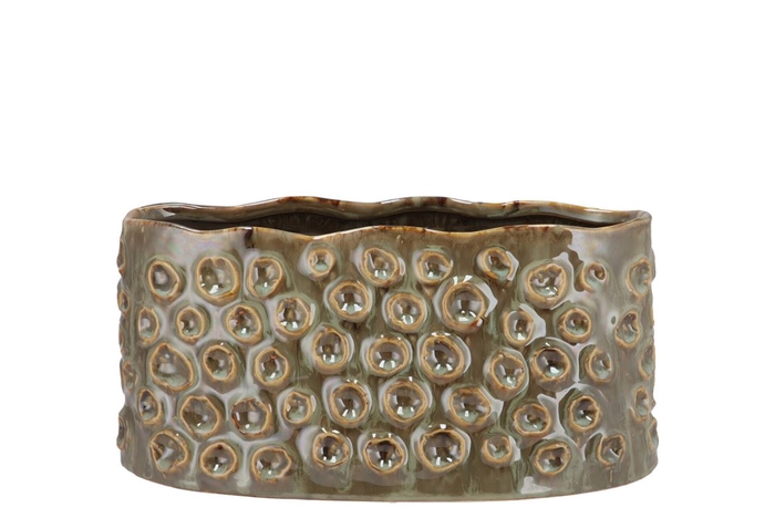 <h4>Alora Majestic Green Pot 26x14x12cm</h4>