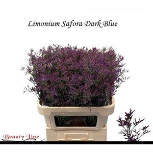 Lim Saf Dark Blue