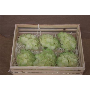 Wax Hydrangea Creme\groen