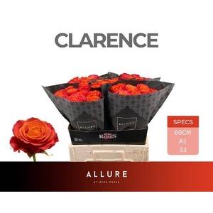 R GR CLARENCE+