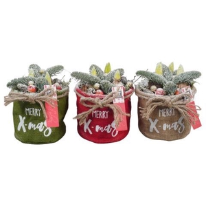 PTHCH6728 Arrangement Hyacint Christmas in jute zak