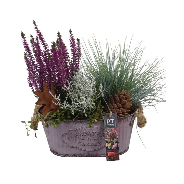 <h4>PTHO4115 Arrangement Herfst Outdoor in metalen pot ovaal</h4>