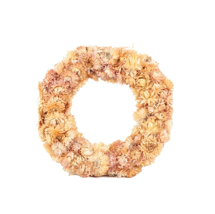 <h4>Krans Helichrysum</h4>