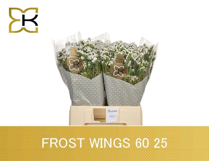 <h4>LIM S FROST WINGS</h4>
