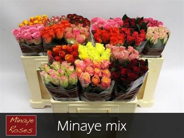 R Gr Mix In Bunch Minaye