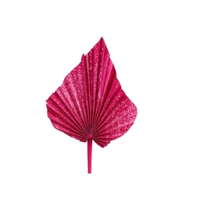 Dried Artz Palm Spear Xl Rembrandt P Stem