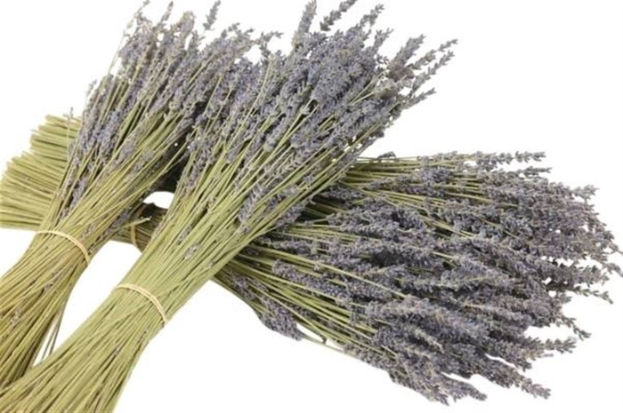 <h4>Deco Bunch Lavendel 100g L40</h4>