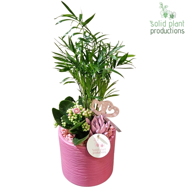 <h4>CE001 Amy Pink VM</h4>