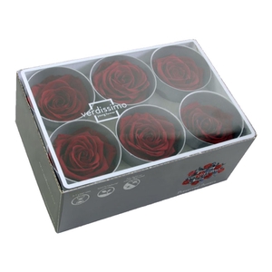 Rose standard bordeaux