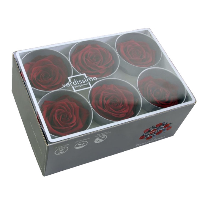 <h4>Rose standard bordeaux</h4>