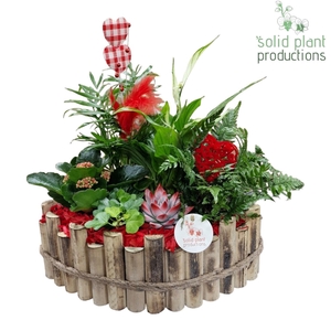 HVSCE006 Napoli Large Red