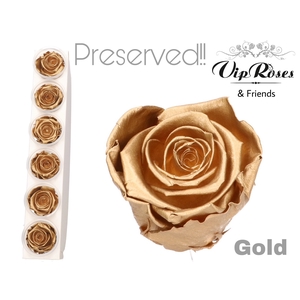 R PRESERVED GOLD