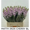 Matth Iron Cherry Bl