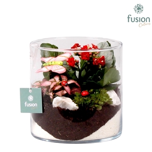 Glazen cilindervaas met