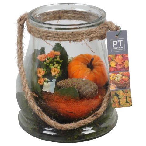 <h4>PTHG3348 Arrangementen kamerplanten</h4>