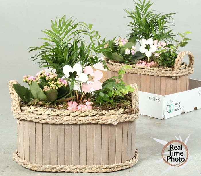 <h4>ARR KAMERPL</h4>