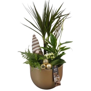 PTCHG5614 Arrangementen Kerst