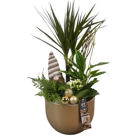 <h4>PTCHG5614 Arrangementen Kerst</h4>