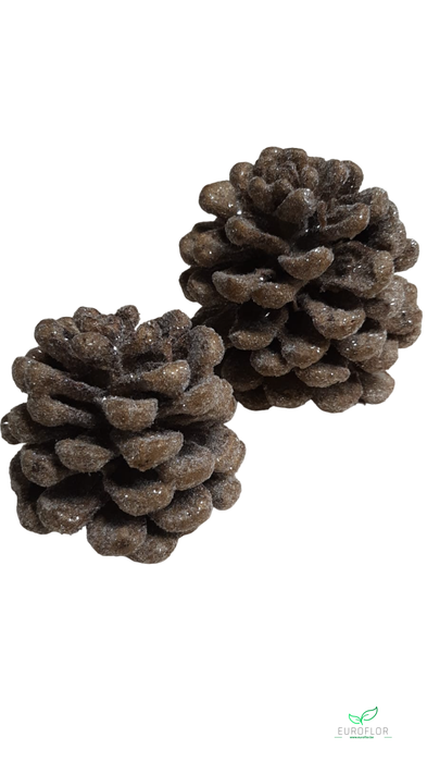 PINECONE WAX SUGARED GOLD 2PCS