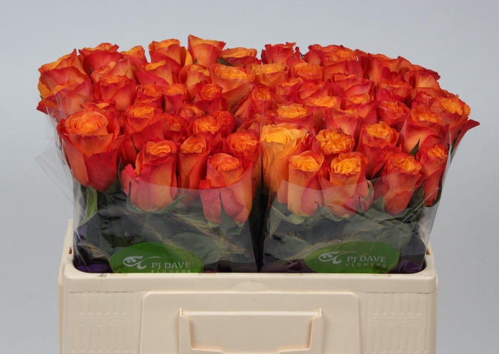 <h4>R GR CONFIDENTIAL</h4>