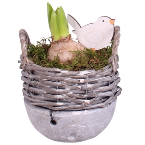 Bulbs Arr. Hyacint Willow Basket Ceramic Bottom Ø14cm