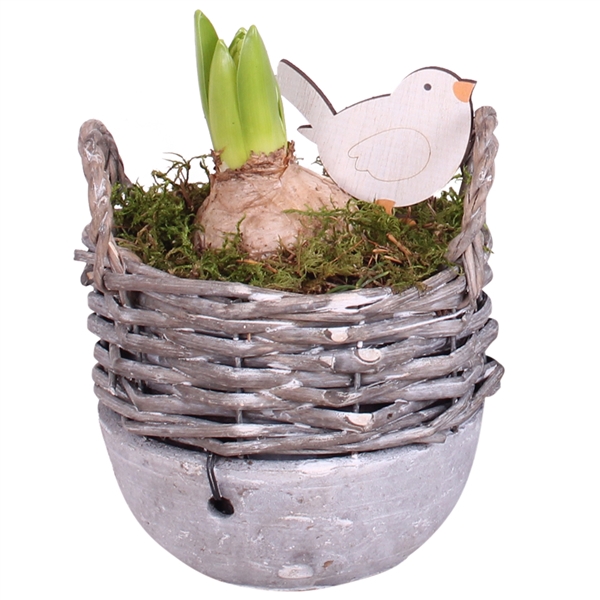 <h4>Bulbs Arr. Hyacint Willow Basket Ceramic Bottom Ø14cm</h4>