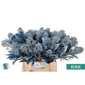 Skim Ov Bs Klb Ice Blue 45cm