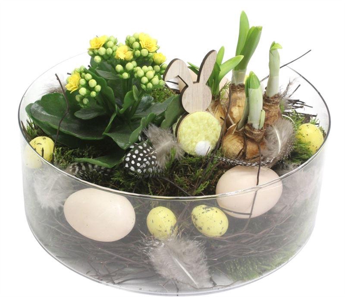 1133 CILINDER LAAG TETE