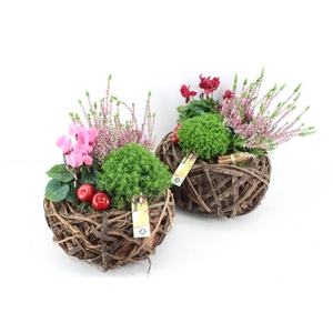arr4 Outdoor JS - Gewoven hout schaal Los