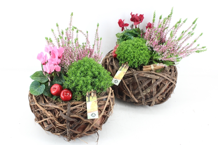 <h4>arr4 Outdoor JS - Gewoven hout schaal Los</h4>