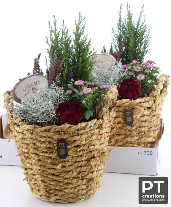 <h4>ARR GARDEN BASKET NATURE X2</h4>