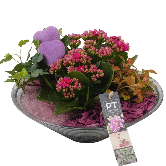 <h4>Arr.    Planten  L%</h4>