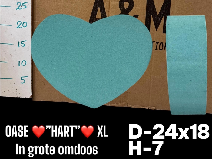 <h4>HUIS EN TUINDECO H%</h4>