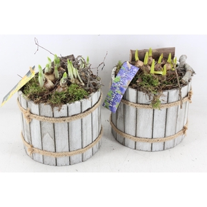 arr4 Bollenmix MB - Hout ton white wash